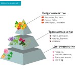 297007_297014_297021_297045_297052_ароматы2